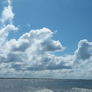 Meet your Posher, Wesley